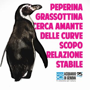 post San Valentino pinguino 2