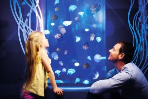 Gardaland SEA LIFE Aquarium_1311_meduse_low