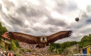 puy du fou 2016ago07_20301 parksmania