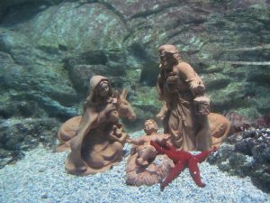 presepe-subacqueo-acquario-cattolica