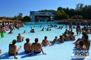aquafarm naso di legno 25