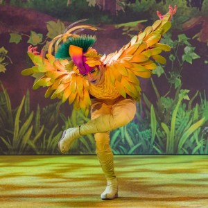 Forest_Incantata_005