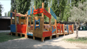 natura viva gioco5