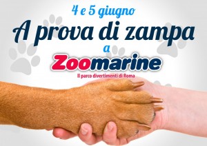 zoomarine - A prova di zampa 2016