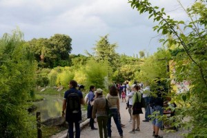 natura viva AMBIENTE E VISITATORI