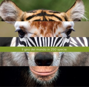 natura viva NUOVA GRAFICA ISTITUZIONALE