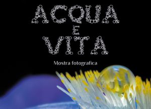 giardino sigurta mostra