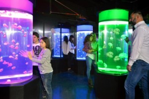 gardaland sea life 003