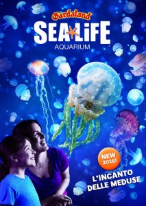 Gardaland SEA LIFE Aquarium 2016_ Incanto delle Meduse