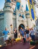 Parchi divertimento da cani? Ecco quelli che ammettono i nostri amici a quattro zampe