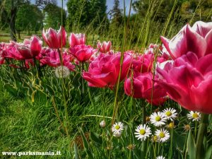 giardino sigurta 2017apr12 (2)