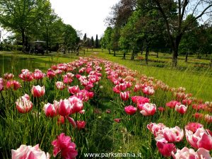 giardino sigurta 2017apr12 (5)