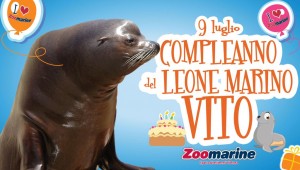zoomarine - Compleanno Vito 2015