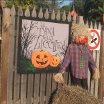 parksmania mirabilandia halloween 2015 10