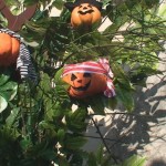 parksmania mirabilandia halloween 2015 38