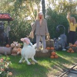 parksmania mirabilandia halloween 2015 40