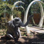 parksmania-cavallino-matto-safari-adventure_2605
