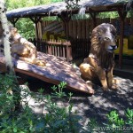 parksmania-cavallino-matto-safari-adventure_2613